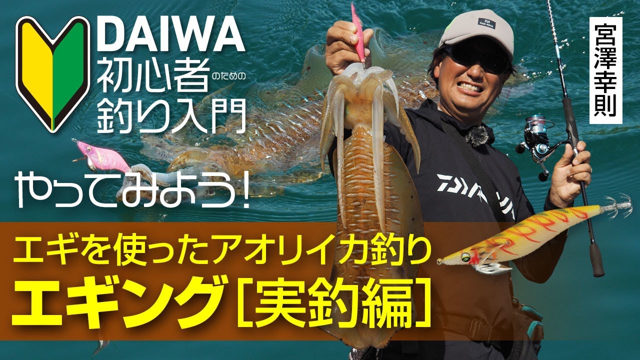 DAIWA 初心者釣り入門】宮澤幸則のやってみよう！エギング［実釣編