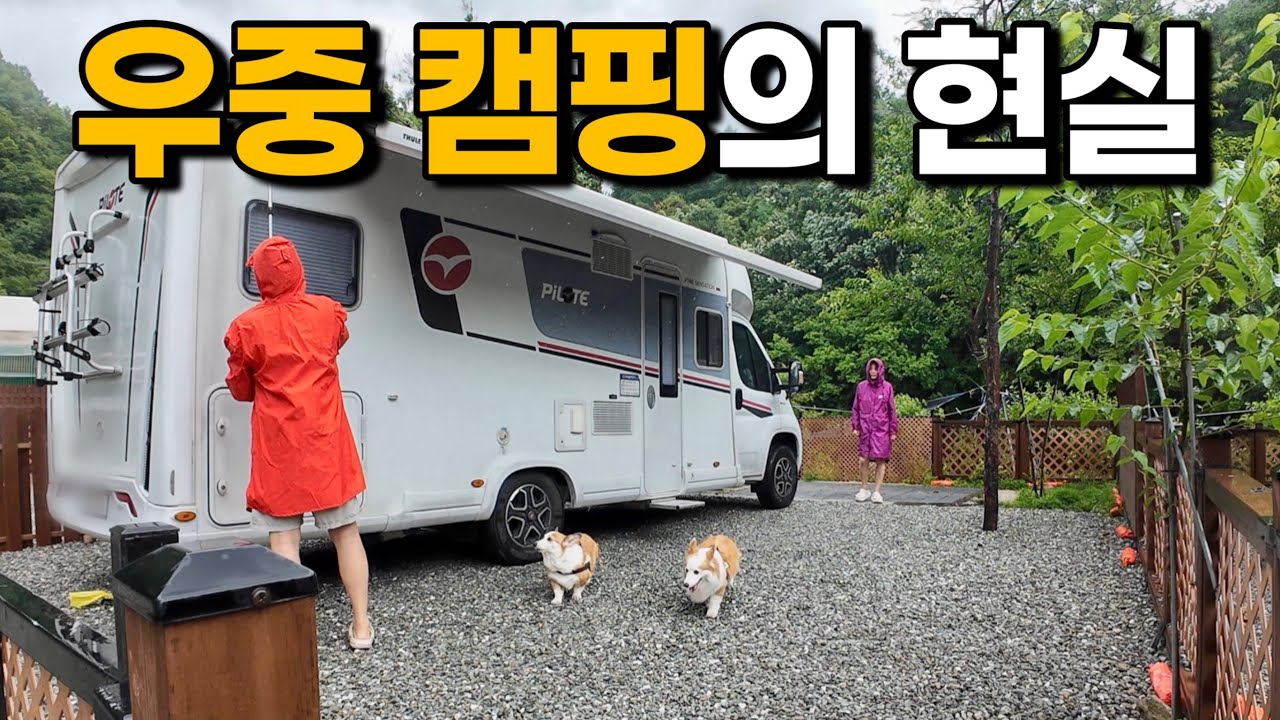 [4k] 강한 비 바람이 내리는 어느날 반려견과 함께하는 우중 캠핑 / 미나리전에 비빔면+골뱅이!! 역시 캠핑에는 고기가?? / 유럽모터홈 p746gj 반려견동반 여행