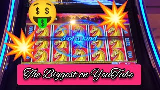 The Biggest jackpots on YouTube on Legion Warrior slots machine. Konami game.[God of Jackpots]