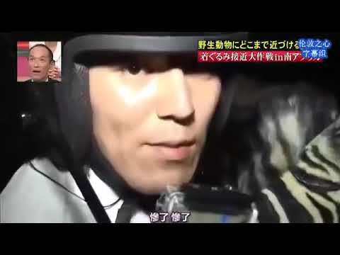 【狩野英孝 vs ワイルドドッグ】#狩野英孝#天然#爆笑