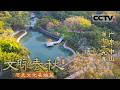 《文脉春秋》79 广东·中山：中山人太会吃了！这虫子长得丑吃着却鲜掉眉毛 是大自然赐予中山的限定鲜味【CCTV纪录】