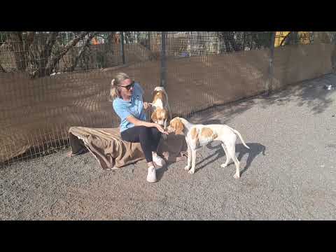 Ramiro video