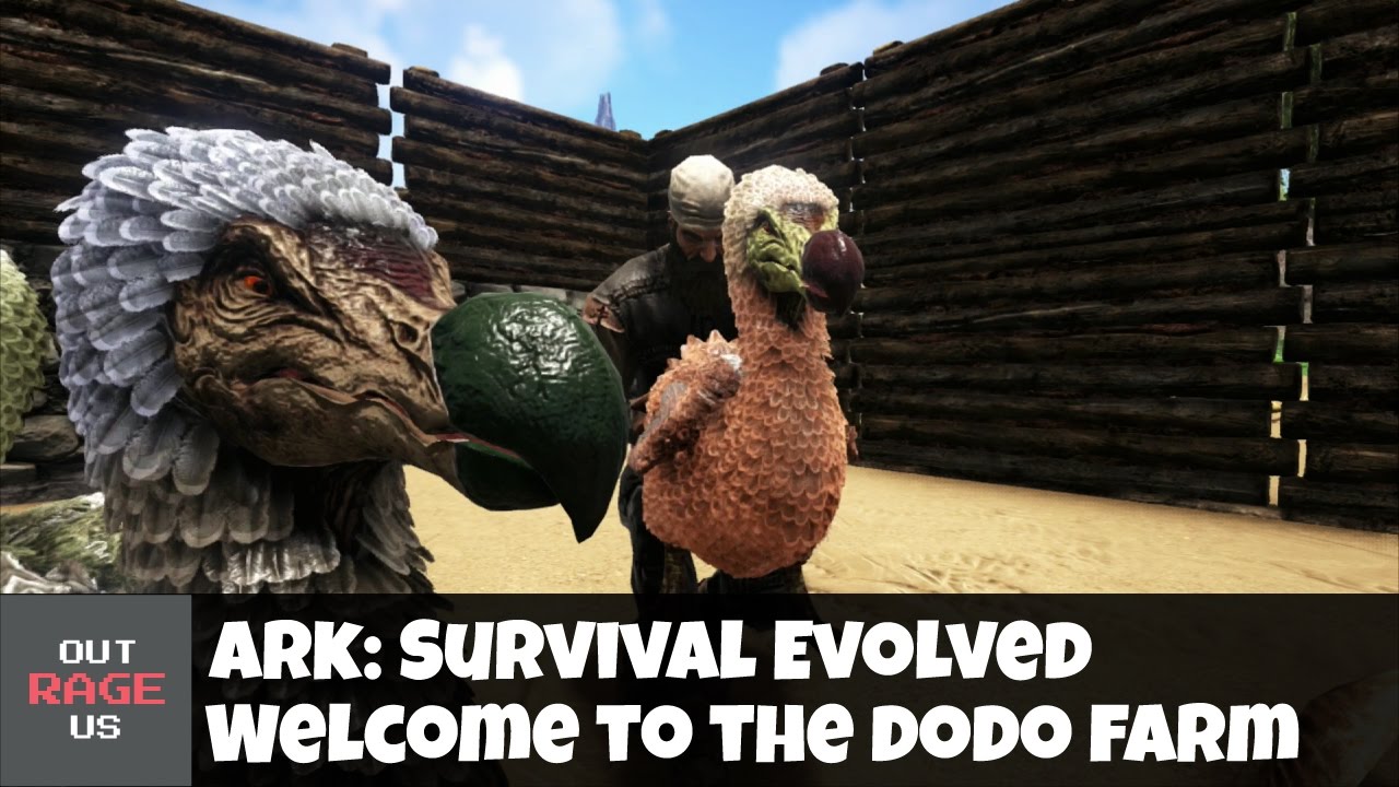 ark dodo not laying eggs ark dodo not laying eggs