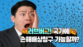 불쾌한 러브버그! 국가에 손해배상청구 할 수 있을까?