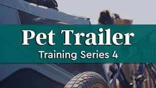Pet Trailer Training Series - Putting it All Together | Burley