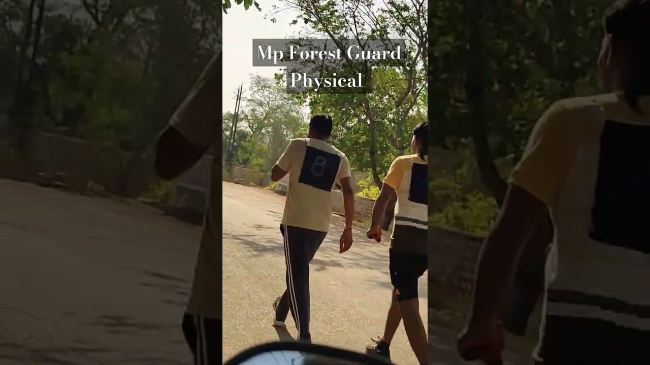 Mp Forest Guard physical