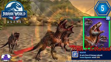 THYLOS INTREPIDUS Enhancement Track 5 REACTIVE