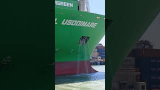 evergreen ship #youtubeshorts #evergreen#shorts