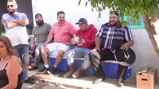 Fiestas en EL Gobernador Jalisco 2021