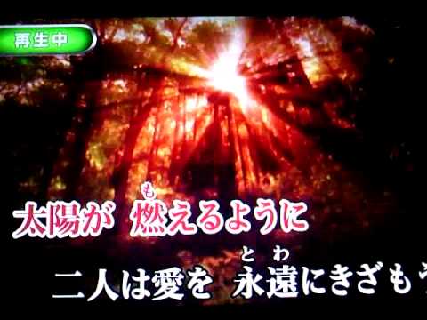 情熱の嵐　西城秀樹　カラオケ