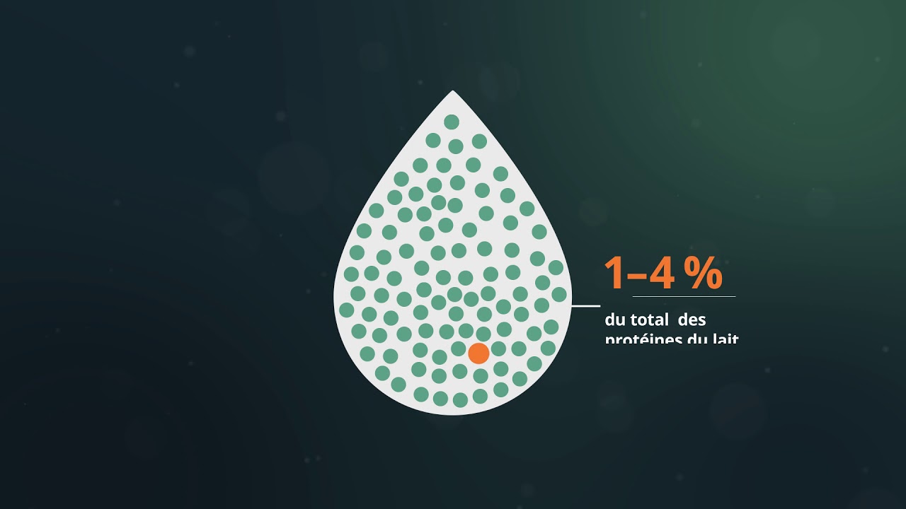 Animations Scientifiques - La membrane de globule gras du lait: MFGM
