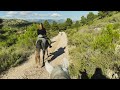 Así les recortamos los cascos - Un Paseo a Caballo por la Sierra