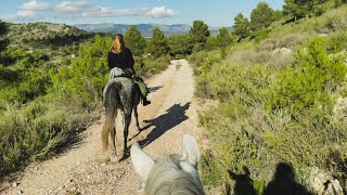 This is how we trim their hooves - A Walk around the Mountain on Horseback