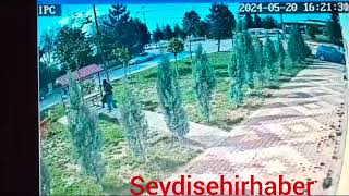 Seydişehir’de okula giden lise öğrencisine sokak köpekleri saldırısı güvenlik kamerasında