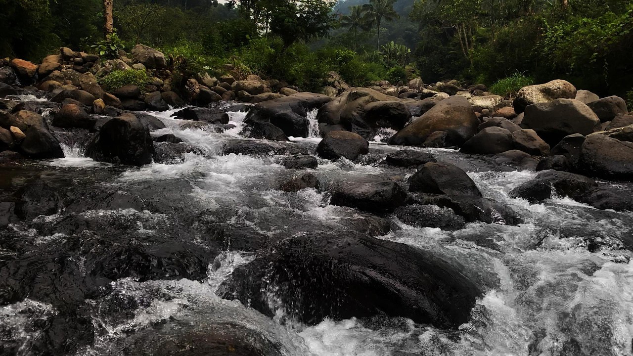 Gentle River Flow, Tranquil Forest Soundscape for Sleeping and Relaxation – 3 Hours