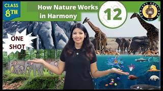 How Nature Works in Harmony | Chapter 12 One Shot Revision | Class 8 science Curiosity