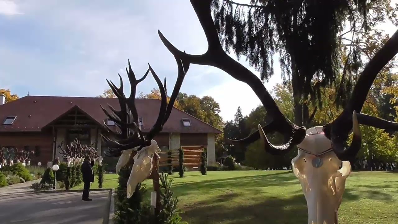 Trófeaszemle Nagysallér 2025.