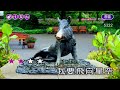神的家鄉~千苓~女Am調~伴奏導唱