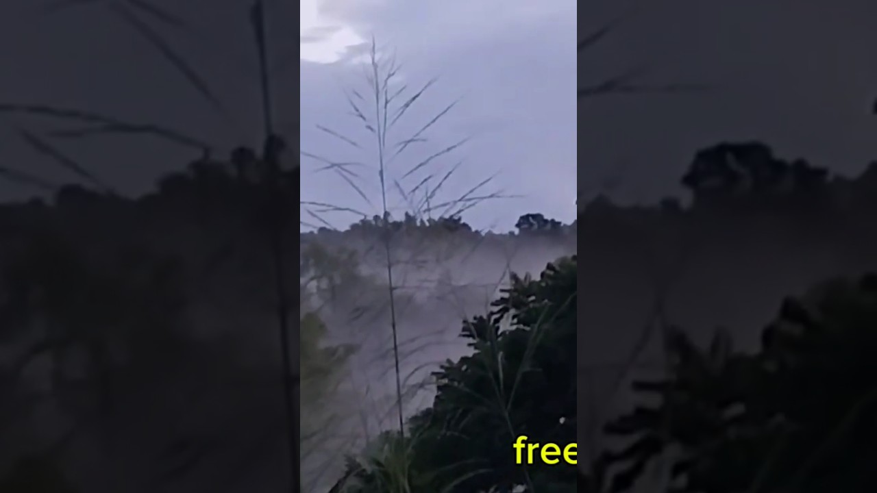 Jamaican hills and valley