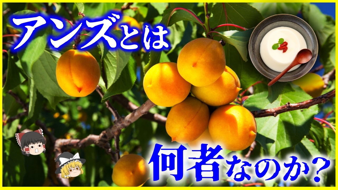 【ゆっくり解説】毒を持つ!?杏仁豆腐の原料!?「アンズ」とは何者なのか?を解説/果物界で異質すぎる特徴と知られざる進化史
