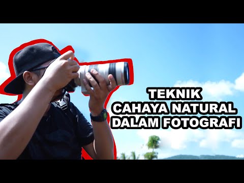 Video: Bagaimana Saya Menambahkan Cahaya Ke Sudut Teduh Plot Menggunakan Tanaman. Pengalaman Pribadi. Foto