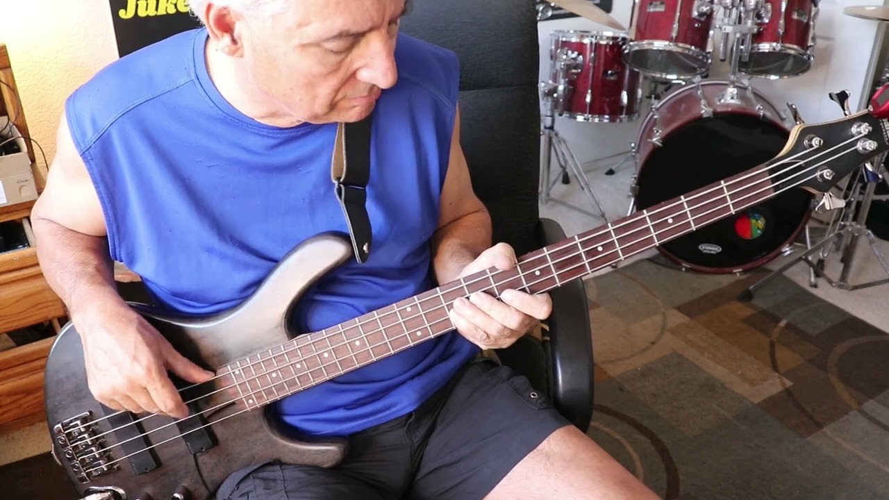 Venus (Bass Cover) Shocking Blue