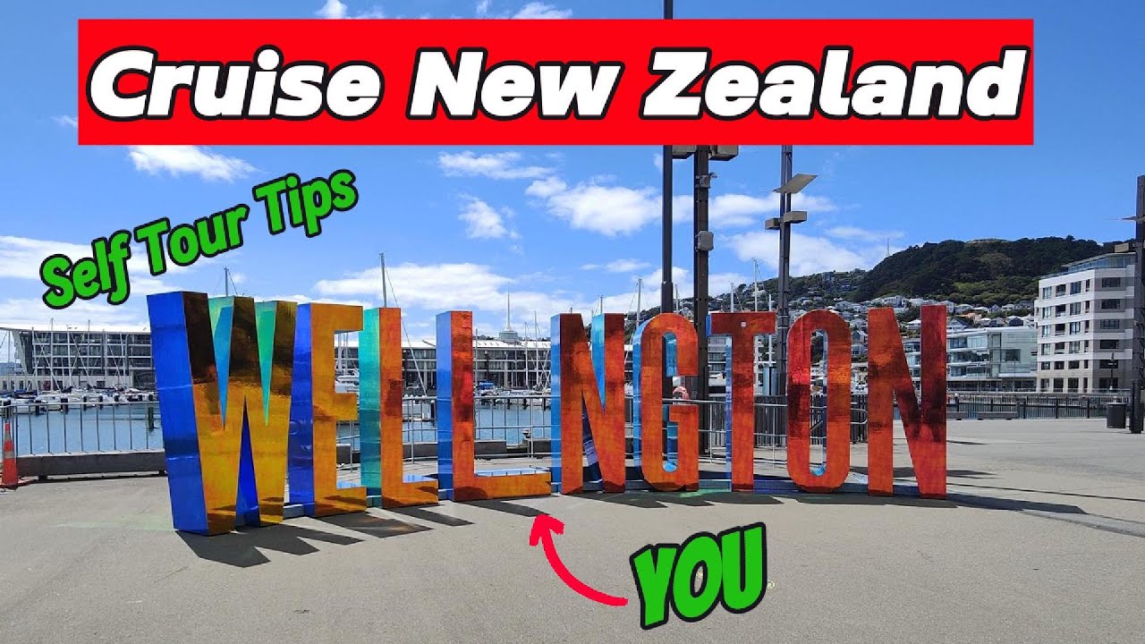 Exploring Wellington's Hidden Gems in One Day