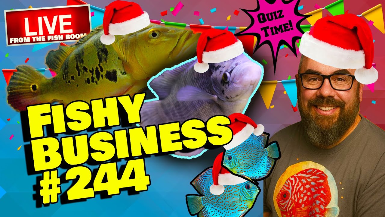 Friday Night Live! -  Fishy Business #244