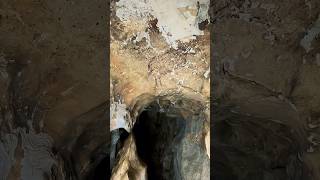 Lukisan Tertua Di Dunia Ada Di Indonesia