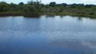 Porto Rico do Maranhao - Video Paisagens naturais