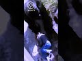 ang batang nahulog sa kulungan ng gorilla 😱 #gorilla #shorts #shortvideo