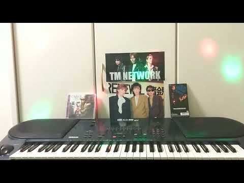 COME ON EVERYBODY YouTube