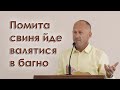 Помита свиня йде валятися в багно - Іван Пендлишак