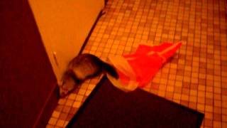 SDC12507.AVI