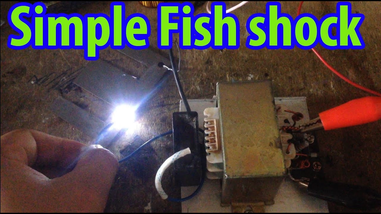 12V inverter stunfish, Fish shock Electric, strum ikan