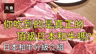 日本和牛等級介紹你吃到的是真正的頂級和牛嗎?元食私房料理