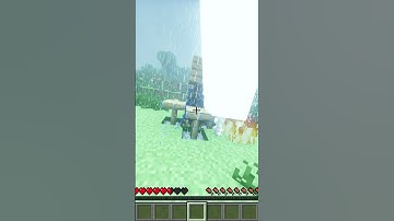 How to get a creeper head in Minecraft 🦎#shorts