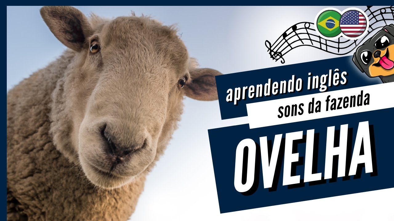 🐏 SOM DA OVELHA | OVELHA EM INGLÊS :: ANIMAIS DA FAZENDA DO AMIGO BICHO ...