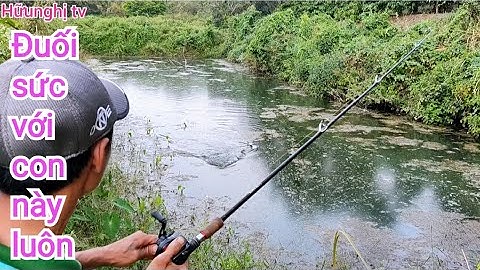 Câu cá lóc_Đụng độ hàng khủng ao hoang @Hữunghị tv
