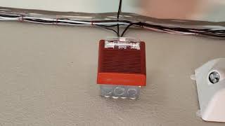 Wheelock AS-24MCW Horn Strobe Fire Alarm Test