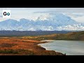 Denali National Park