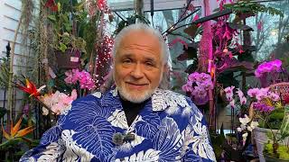 Frank2621426maliki Carries Guns