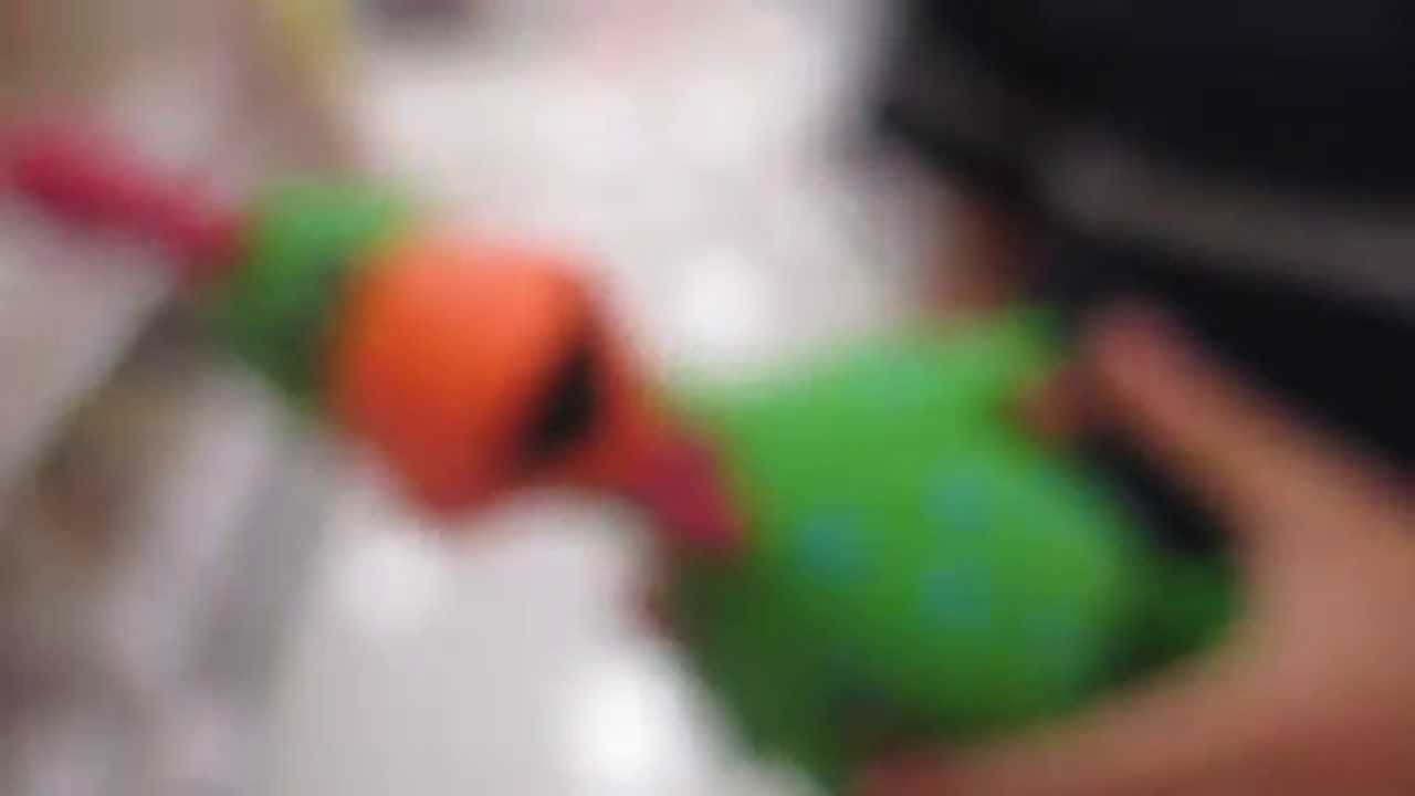 Hilarious Chicken Squeaky Toy At Target YouTube