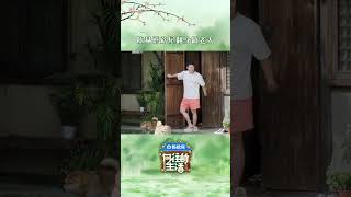 陈赫:颤抖吧蘑菇屋要变天了#向往的生活 #backtofield #向往的生活戏如人生