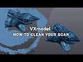 How to clean a scan in Creaform VXmodel