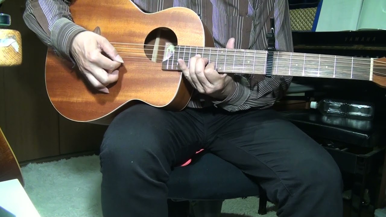 ギター aNueNue Bird Guitar Bird M2 aNueNue M2 Newborn Bird (aNN-M2) 送料無料 | Sound House