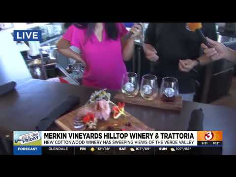 Merkin Vineyards has 7 acres offering sweeping views of Verde Valley