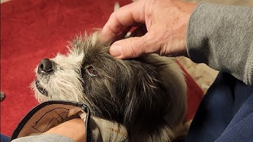 1379 - Kevin, My Philosophy, A Flake, and a Biface