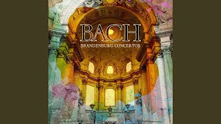 Brandenburg Concerto No. 4 in G Major, BWV 1049: III. Presto