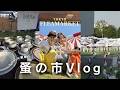 東京蚤の市|北欧ヴィンテージなうつわを大量購入🧺-Tokyo Flea Market 2026 Spring☘️-